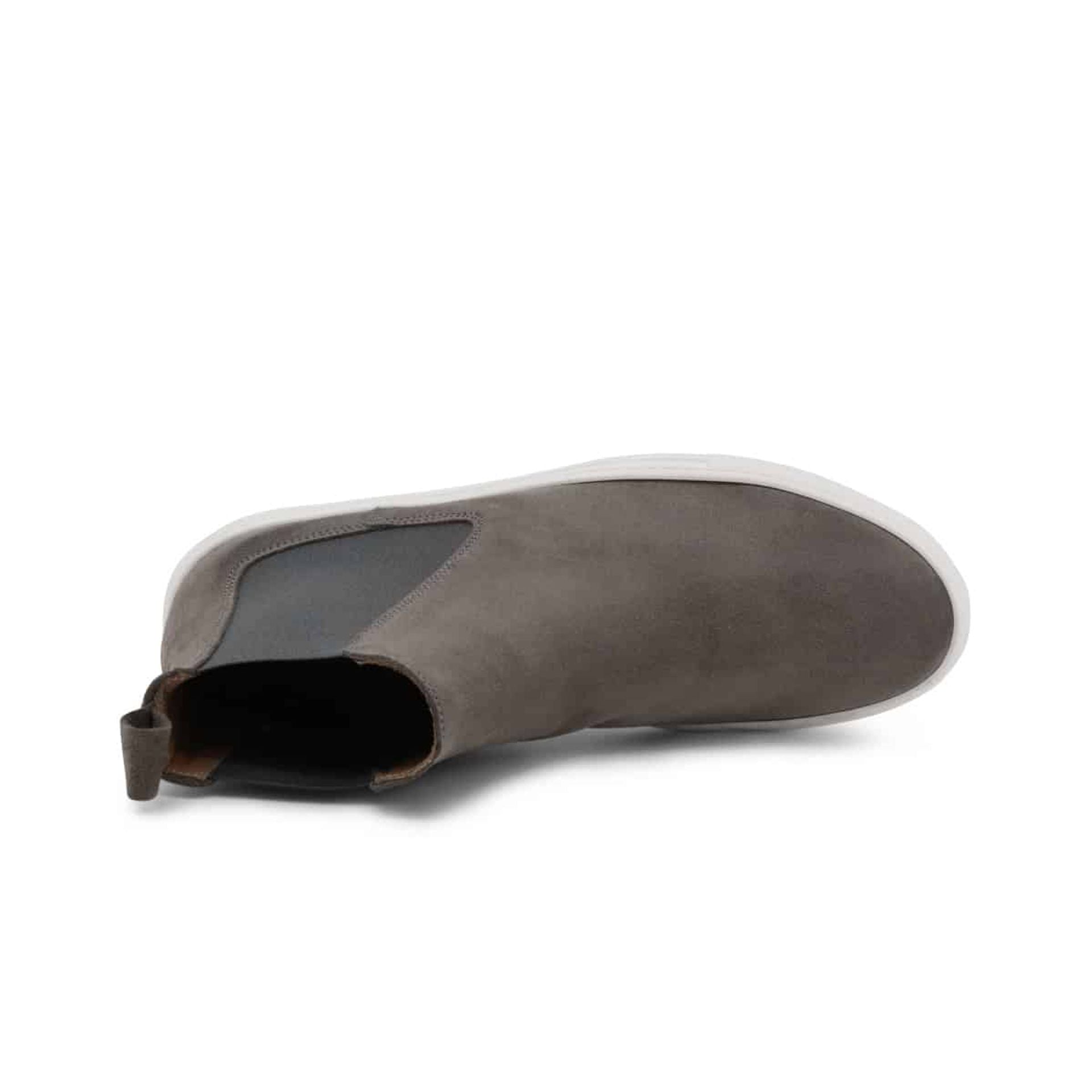 Nicolò - Camoscio grigio