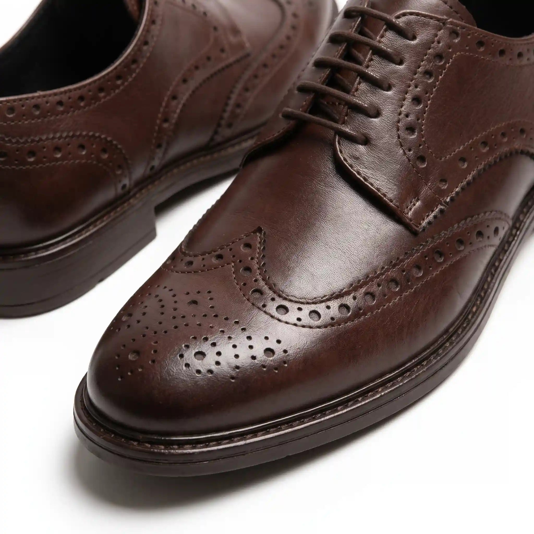 Brown Derby Shoes - Alfonso
